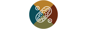 The image is a logo with a circular design, featuring a colorful abstract pattern and a symbol that resembles a stylized letter 'E' in the center.