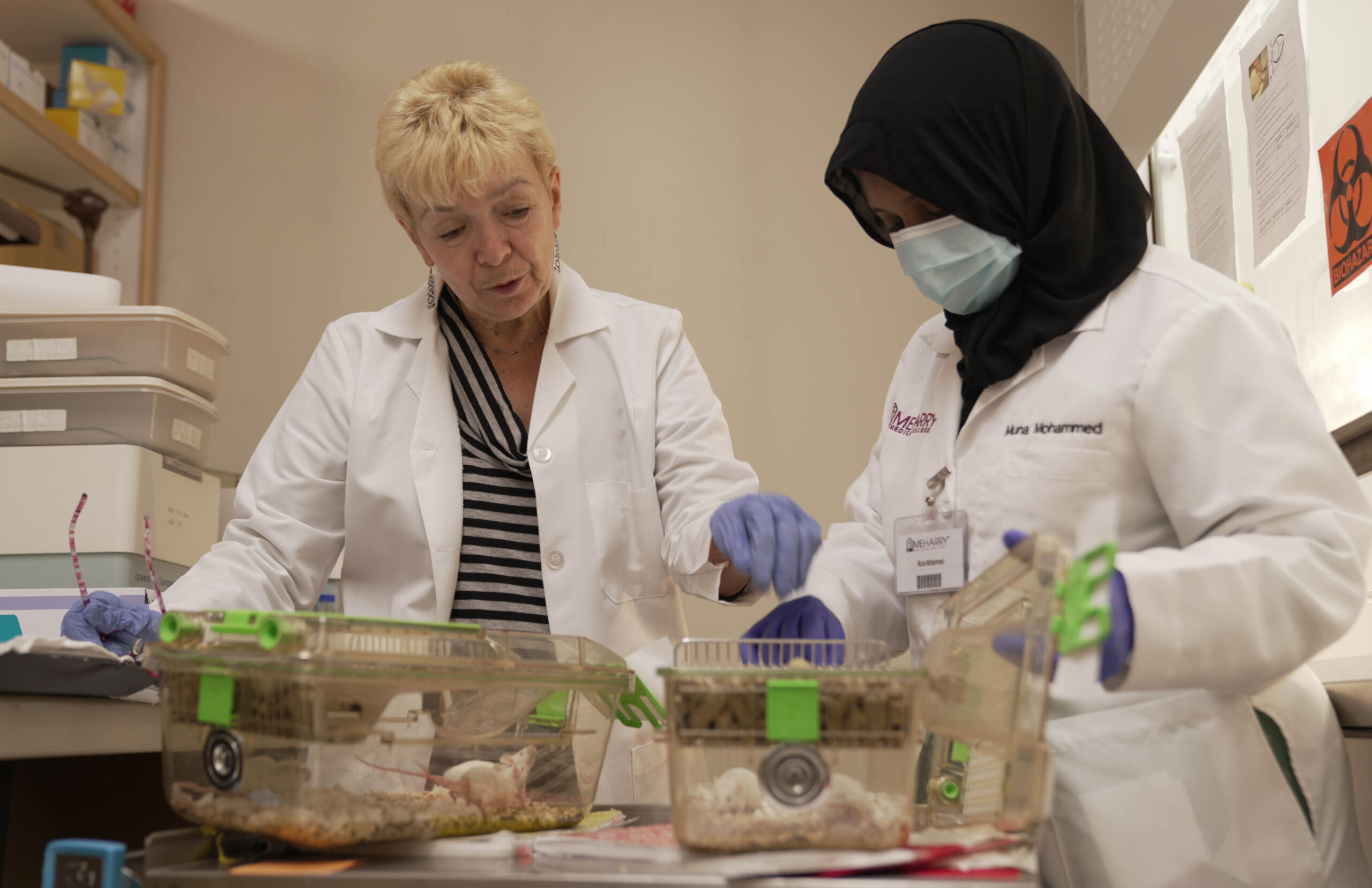 Animal Care Facility