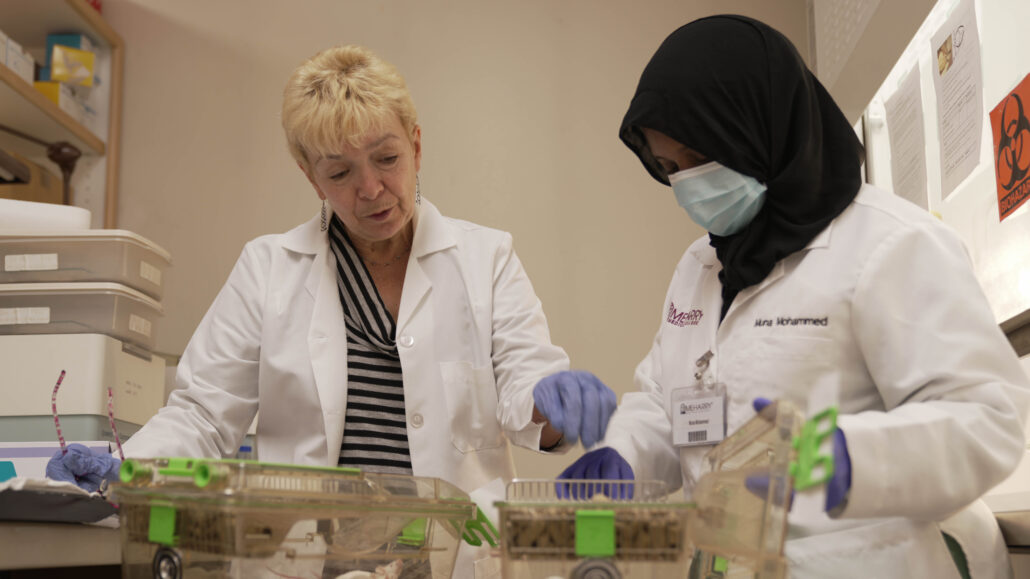 Animal Care Facility