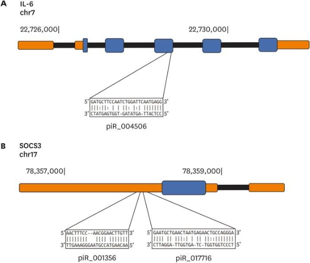 Bioinformatics Core Figure 1