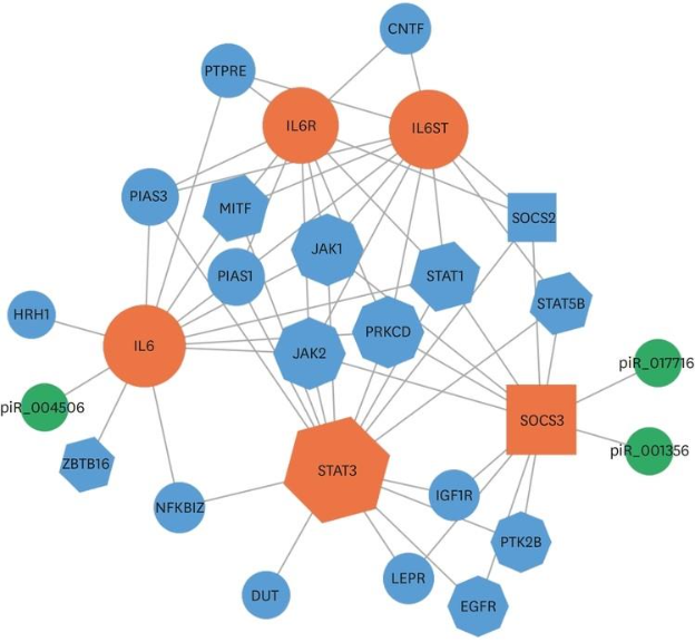 Bioinformatics Core Figure 5