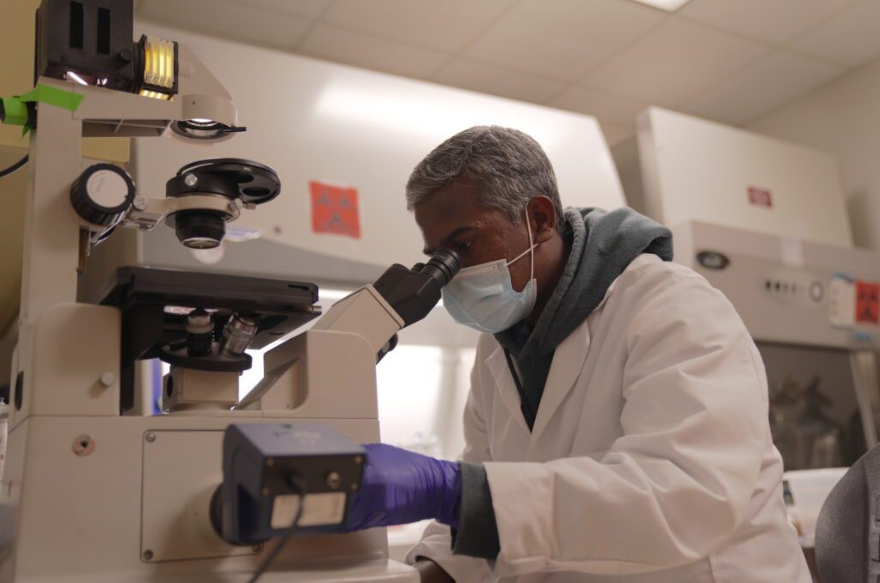 Meharry Enhancing Virology Training (ENVIT)